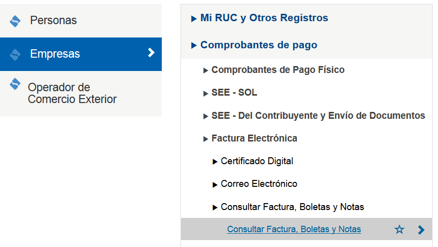 Consulta De Boleta Y Factura En La Sunat 2909